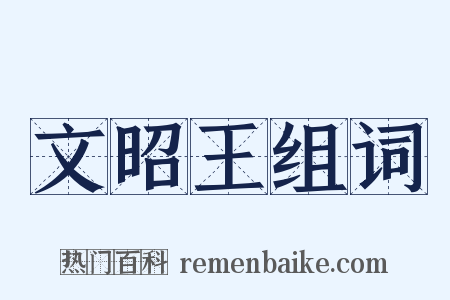 文昭王组词是什么意思的图片